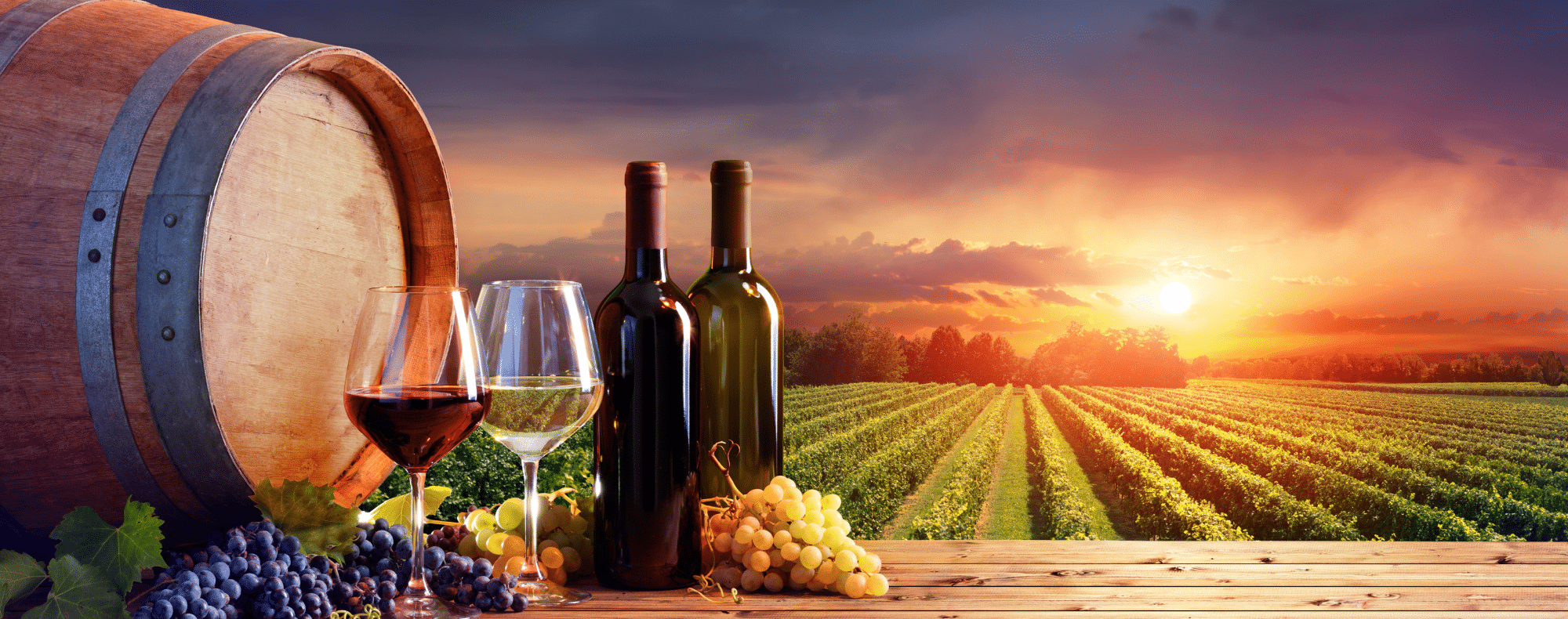 Framsida -Bestick Butik Wine glass web banner 2